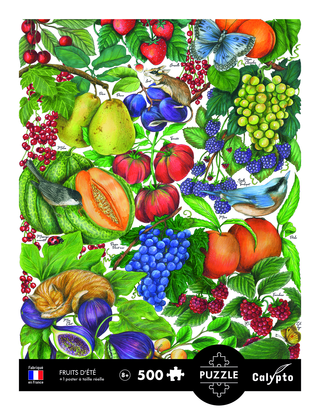 Calypto Sommerfrüchte 500 Teile Puzzle Calypto-7316 von Calypto