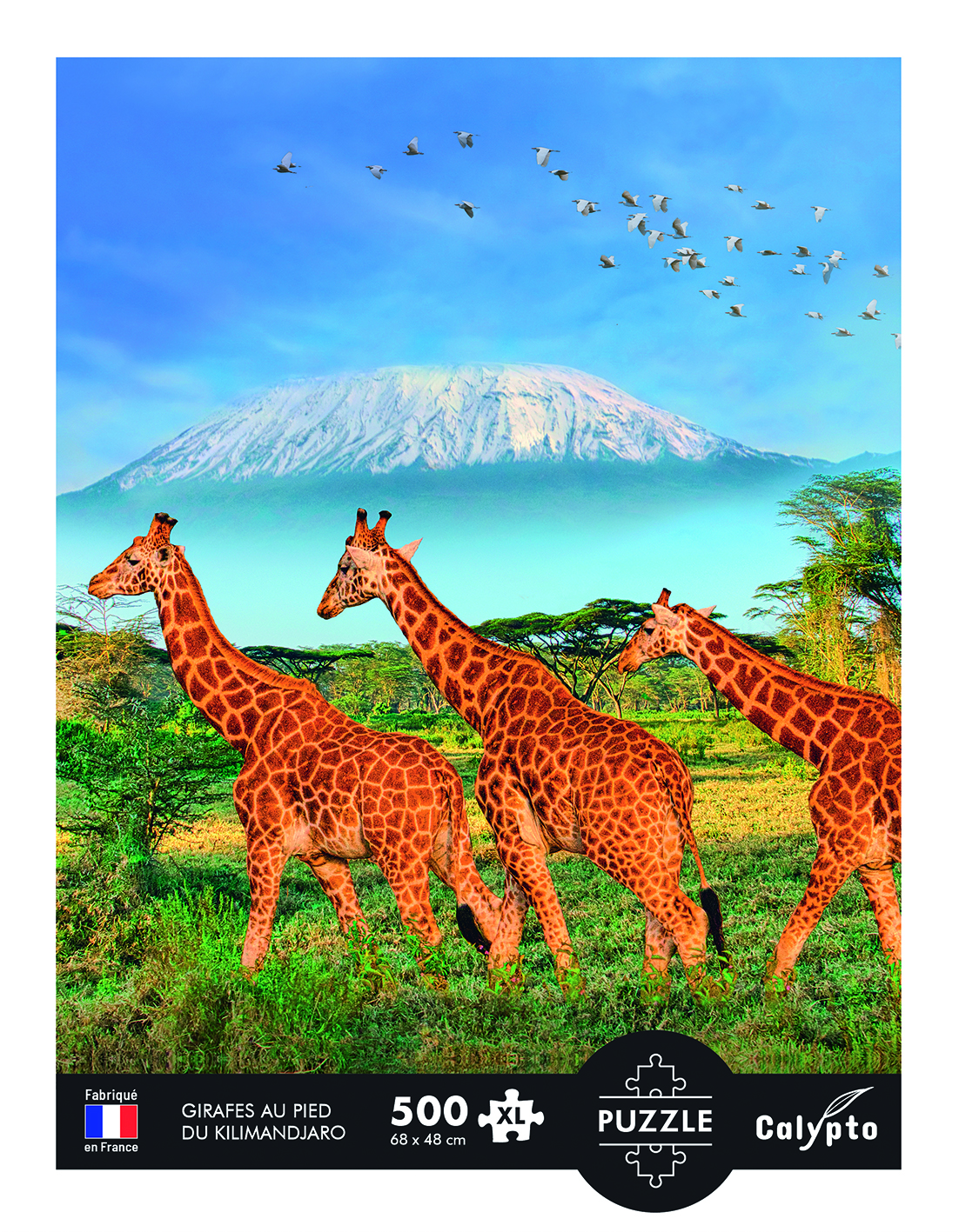 Calypto XXL Teile - Giraffen 500 Teile Puzzle Calypto-7351 von Calypto