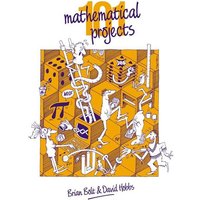 101 Mathematical Projects von Cambridge-Hitachi