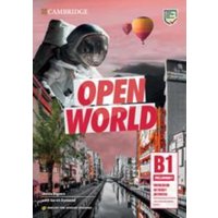 Open World Preliminary Workbook Without Answers with Downloadable Audio English for Spanish Speakers von Cambridge University Press