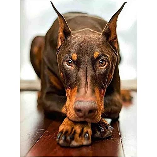 1000 Puzzleteile, lustiges Dobermann-Spielzeug, intellektueller Hund, pädagogisches Dekompressionspuzzle, Spielzeug für Kinder und Erwachsene, Tierliebhaber, Geschenk 1000 Puzzleteile, lustiges Dobermann-Spielzeug, intellektueller Hund, pädagogisches Dekompressionspuzzle, Spielzeug für Kinder und Erwachsene, Tierliebhaber, Geschenk von CanGbay