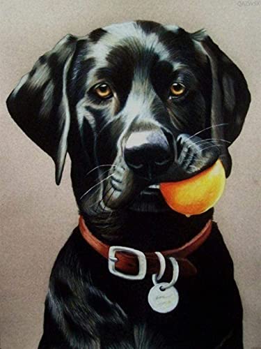 1000 Puzzleteile für Erwachsene, schwarzer Hund, Labrador, Holzpuzzle für junge Kinder, Tierpuzzle, Heimdekoration, Wandkunst, Familienspiele, Spielzeug 1000 Puzzleteile für Erwachsene, schwarzer Hund, Labrador, Holzpuzzle für junge Kinder, Tierpuzzle, Heimdekoration, Wandkunst, Familienspiele, Spielzeug von CanGbay