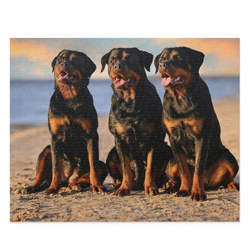 500 Teile Puzzle, Puzzle für Kinder, Erwachsene, Drei Rottweiler am Strand, Welpen, Hunde, Liebhaber, Wanddekoration, Lernspielzeug, Familienunterhaltung, Puzzle 500 Teile Puzzle, Puzzle für Kinder, Erwachsene, Drei Rottweiler am Strand, Welpen, Hunde, Liebhaber, Wanddekoration, Lernspielzeug, Familienunterhaltung, Puzzle von CanGbay