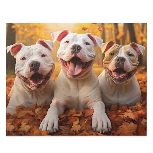 500-teiliges Puzzle für Erwachsene – Dogo Argentino Hunde im Herbstpark, pädagogisches Spielzeug für Tierliebhaber, Jungen und Mädchen – Dekompressionsspiel Geschenk 500-teiliges Puzzle für Erwachsene – Dogo Argentino Hunde im Herbstpark, pädagogisches Spielzeug für Tierliebhaber, Jungen und Mädchen – Dekompressionsspiel Geschenk von CanGbay
