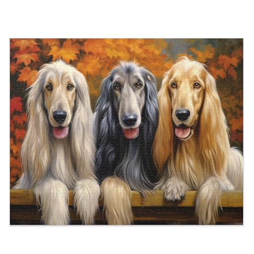 500-teiliges Puzzle für Erwachsene – Hunde im Wald – Afghanische Hunde im Herbstpark Lustiges Lernpuzzle Familienspiel Spielzeug Erwachsene Heimdekoration Puzzle 500-teiliges Puzzle für Erwachsene – Hunde im Wald – Afghanische Hunde im Herbstpark Lustiges Lernpuzzle Familienspiel Spielzeug Erwachsene Heimdekoration Puzzle von CanGbay