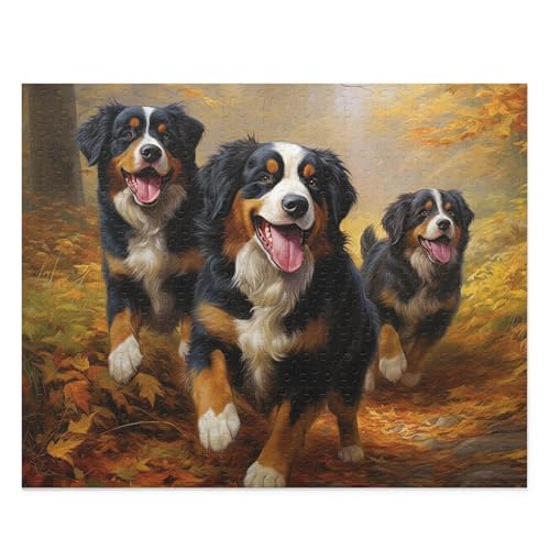 500-teiliges Puzzle für Erwachsene – Hunde im Wald – Berner Sennenhund im Herbstpark Herausforderung Puzzle Spaß pädagogisches Familienspiel Spielzeug Erwachsene Dekoration 500-teiliges Puzzle für Erwachsene – Hunde im Wald – Berner Sennenhund im Herbstpark Herausforderung Puzzle Spaß pädagogisches Familienspiel Spielzeug Erwachsene Dekoration von CanGbay