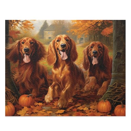 500-teiliges Puzzle für Erwachsene – Hunde im Wald – Irische Hunde Setter im Herbstpark Lustiges Lernpuzzle Familienspiel Spielzeug Erwachsene Heimdekoration 500-teiliges Puzzle für Erwachsene – Hunde im Wald – Irische Hunde Setter im Herbstpark Lustiges Lernpuzzle Familienspiel Spielzeug Erwachsene Heimdekoration von CanGbay