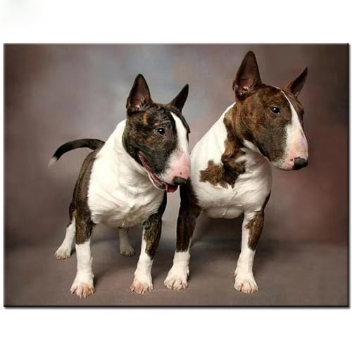 Bullterrier Tierpuzzle 1000 Teile Puzzle für Erwachsene Kinder Die Junge Herausforderung Puzzle Moderne Wohnkultur Entwicklungsspielzeug Lustige Spiele Bestes Geschenk für Hundeliebhaber Bullterrier Tierpuzzle 1000 Teile Puzzle für Erwachsene Kinder Die Junge Herausforderung Puzzle Moderne Wohnkultur Entwicklungsspielzeug Lustige Spiele Bestes Geschenk für Hundeliebhaber von CanGbay