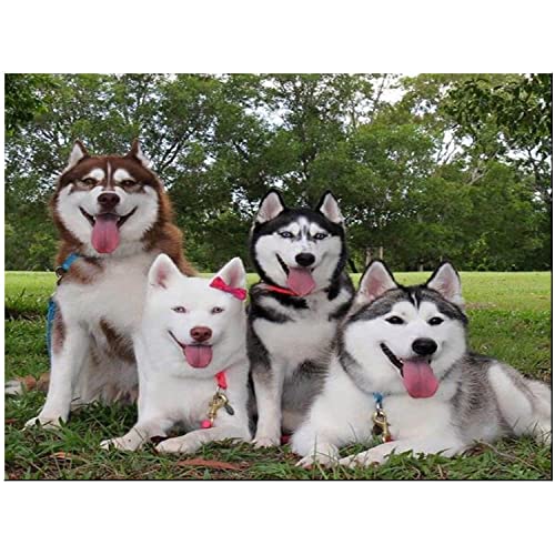 Holzpuzzle, 1000 Teile, süßes Haustier Husky, bunt, lustige und herausfordernde Puzzles für Erwachsene und Kinder, Lernspielzeug, Geschenk für Heimdekoration Holzpuzzle, 1000 Teile, süßes Haustier Husky, bunt, lustige und herausfordernde Puzzles für Erwachsene und Kinder, Lernspielzeug, Geschenk für Heimdekoration von CanGbay