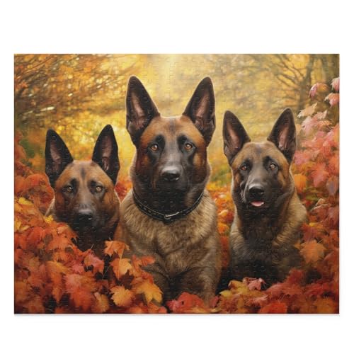 Holzpuzzles - Belgische Malinois im Herbstpark - Hunde im Wald Tierpuzzle 1000 Teile für Erwachsene Teenager Kinder Herausforderung Puzzles Spaß Spiel Spielzeug Hundeliebhaber Geschenk Heimdekoration Holzpuzzles - Belgische Malinois im Herbstpark - Hunde im Wald Tierpuzzle 1000 Teile für Erwachsene Teenager Kinder Herausforderung Puzzles Spaß Spiel Spielzeug Hundeliebhaber Geschenk Heimdekoration von CanGbay