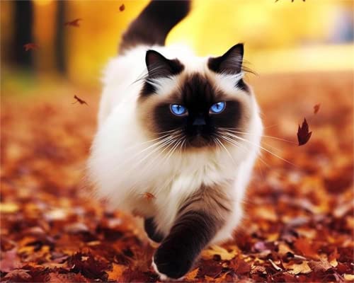 Jigsaw Puzzles 1000 Teile Puzzles für Erwachsene, Katzen spielen im Park Holzpuzzle Tier Einzigartige Schwierige und Herausforderung Großes Puzzlespiel Dekomprimieren Spielzeug Bestes Geschenk für Jigsaw Puzzles 1000 Teile Puzzles für Erwachsene, Katzen spielen im Park Holzpuzzle Tier Einzigartige Schwierige und Herausforderung Großes Puzzlespiel Dekomprimieren Spielzeug Bestes Geschenk für von CanGbay