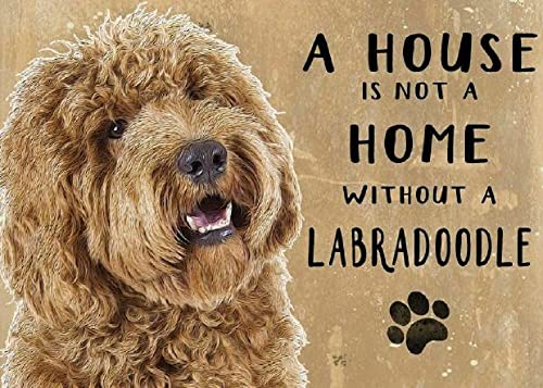 Labrador Retriever Puzzle 1000 Teile für Erwachsene, Ein Haus ist kein Zuhause ohne Labradoodle - Holzpuzzle - für Jugendliche Kinder Entwicklungsspiel Spielzeug Bestes Geschenk Vorschulspielzeug Labrador Retriever Puzzle 1000 Teile für Erwachsene, Ein Haus ist kein Zuhause ohne Labradoodle - Holzpuzzle - für Jugendliche Kinder Entwicklungsspiel Spielzeug Bestes Geschenk Vorschulspielzeug von CanGbay