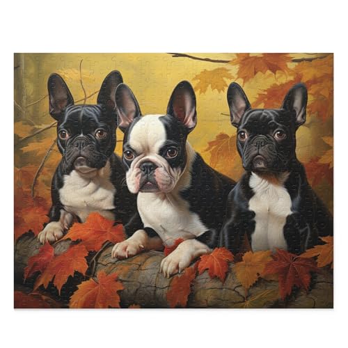 Puzzle 1000 Teile für Erwachsene, Hunde im Wald, Boston Terrier im Herbstpark, lustiges pädagogisches Puzzle, Familienspiel, Spielzeug für Erwachsene, Heimdekoration Puzzle 1000 Teile für Erwachsene, Hunde im Wald, Boston Terrier im Herbstpark, lustiges pädagogisches Puzzle, Familienspiel, Spielzeug für Erwachsene, Heimdekoration von CanGbay