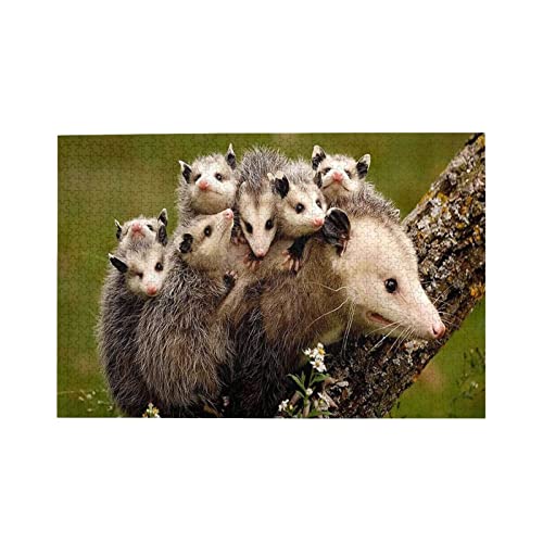 Puzzle für Erwachsene, 1000 Teile – Opossum Familien-Tierpuzzle – herausforderndes hölzernes Entertainment-Puzzle, Heimdekoration, Wandkunst, DIY-Freizeitspiel, Vorschulspielzeug, bestes Geschenk für Puzzle für Erwachsene, 1000 Teile – Opossum Familien-Tierpuzzle – herausforderndes hölzernes Entertainment-Puzzle, Heimdekoration, Wandkunst, DIY-Freizeitspiel, Vorschulspielzeug, bestes Geschenk für von CanGbay