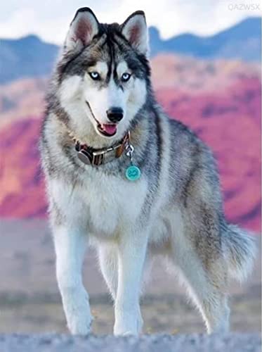 Puzzle für Erwachsene, Husky-Hund, Tier-Holzpuzzle für Teenager, Kinder, Heimdekoration, Schwierigkeitsgrad, Spaß, Familienspiele, Spielzeug, beste Geschenke für Hundeliebhaber, 1000 Teile Puzzle für Erwachsene, Husky-Hund, Tier-Holzpuzzle für Teenager, Kinder, Heimdekoration, Schwierigkeitsgrad, Spaß, Familienspiele, Spielzeug, beste Geschenke für Hundeliebhaber, 1000 Teile von CanGbay