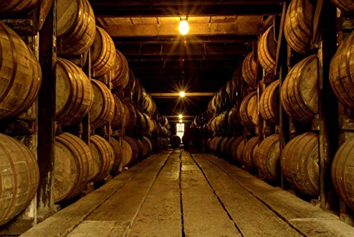 Puzzle für Erwachsene 500 Teile - Kentucky Bourbon Being Aged in Fässern - Holzpuzzle - für Jugendliche Kinder Puzzles Heimdekoration Lustiges Familienspiel Bestes Geschenk Spielzeug Puzzle für Erwachsene 500 Teile - Kentucky Bourbon Being Aged in Fässern - Holzpuzzle - für Jugendliche Kinder Puzzles Heimdekoration Lustiges Familienspiel Bestes Geschenk Spielzeug von CanGbay