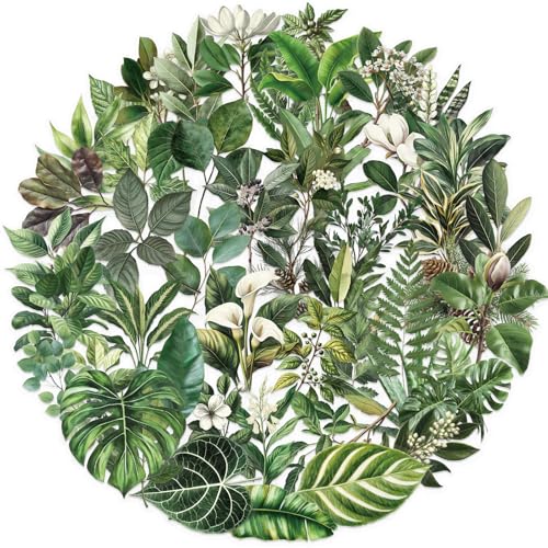 Canollo 50 Stück Grün Pflanzen Aufkleber, Pflanzen Scrapbooking Aufkleber, Mini Größe Natur Blattaufkleber, Pflanze Dekorative Sticker für Fotoalbum, Sammelalbum, Laptops, Handyhüllen von Canollo