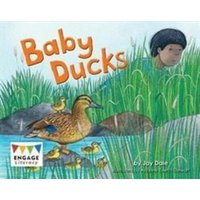 Baby Ducks von Capstone Global Library Ltd