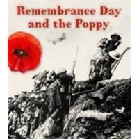 The Remembrance Day and the Poppy von Capstone Global Library Ltd
