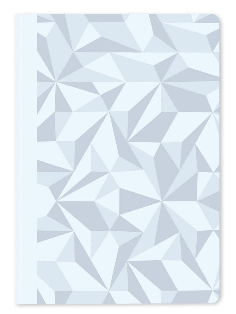 Caran d'Ache Notizbuch A5 Alpine Frost Liniert - Special Edition von Caran d'Ache