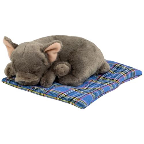 Carl Dick Französische Bulldogge auf dem Kissen ca. 23cm, Plüschtier, Stofftier, Kuscheltier 3713 Carl Dick Französische Bulldogge auf dem Kissen ca. 23cm, Plüschtier, Stofftier, Kuscheltier 3713 von Carl Dick