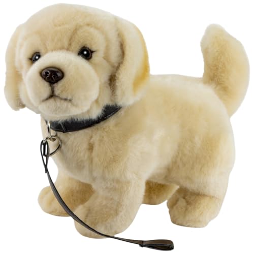 Carl Dick Golden Retriever mit Leine ca. 24cm, Plüschtier, Stofftier, Kuscheltier 3633 Carl Dick Golden Retriever mit Leine ca. 24cm, Plüschtier, Stofftier, Kuscheltier 3633 von Carl Dick