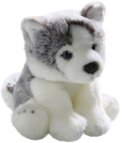 Carl Dick Husky Welpe, Hund, Plüschtier, Kuscheltier ca. 22cm 3134 von Carl Dick