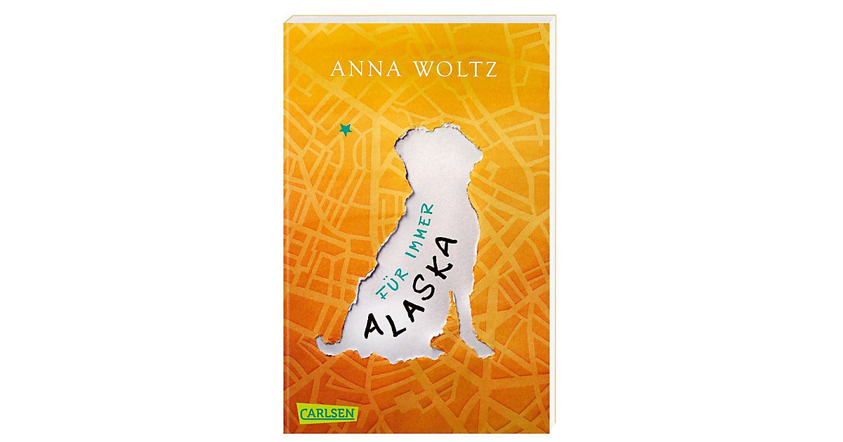 Buch - Für immer Alaska von Carlsen Verlag