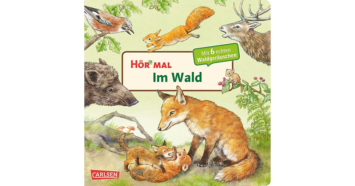 Buch - Hör mal: Der Wald, Soundbuch mit Naturgeräuschen Buch - Hör mal: Der Wald, Soundbuch mit Naturgeräuschen von Carlsen Verlag
