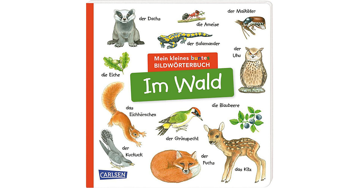 Buch - Mein kleines buntes Bildwörterbuch: Im Wald von Carlsen Verlag