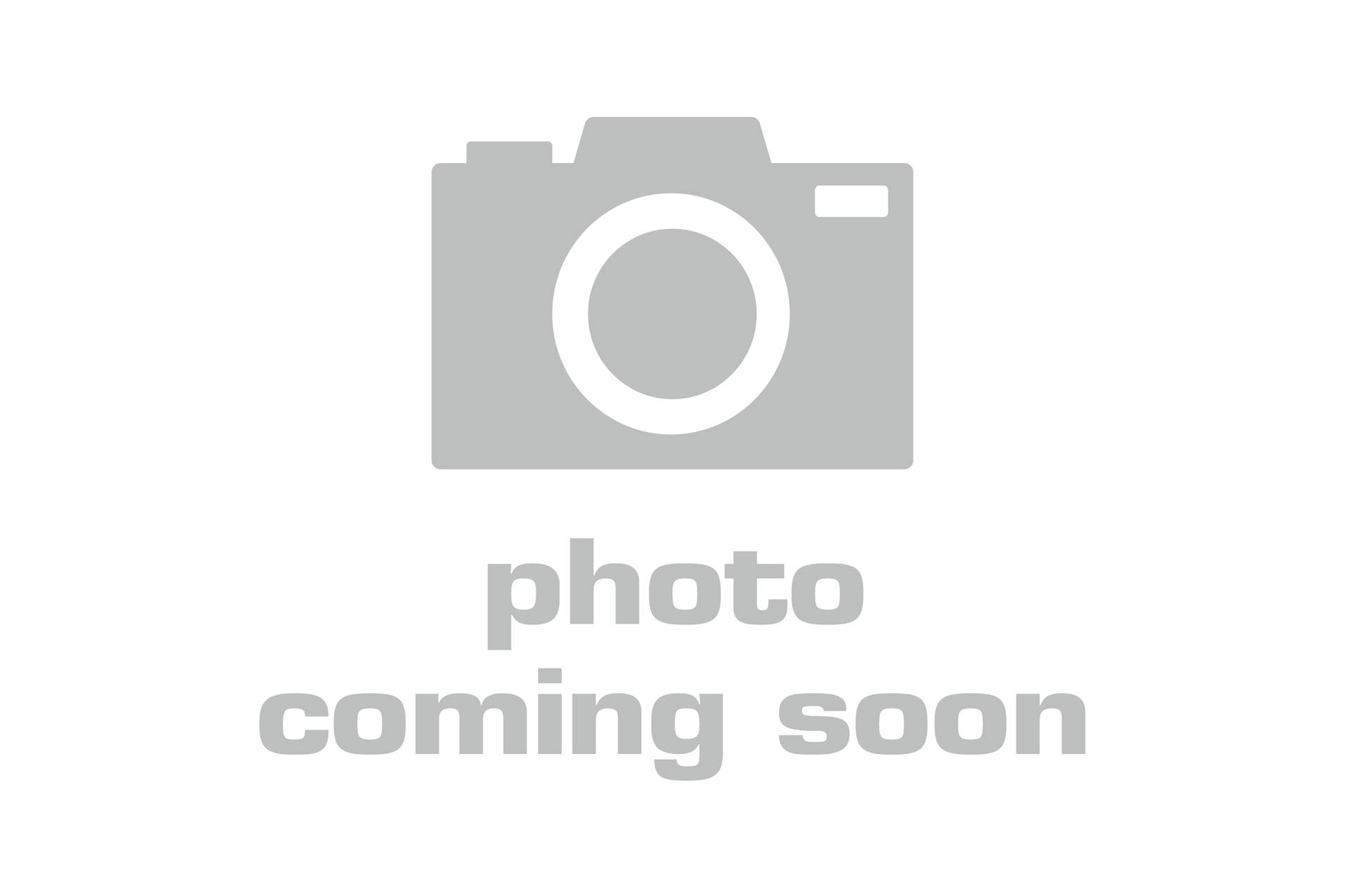 2,4GHz Mario Kart™ World, Mario von Carrera