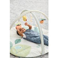 Skip Hop - Spielbogen Gartenoase von Carter's