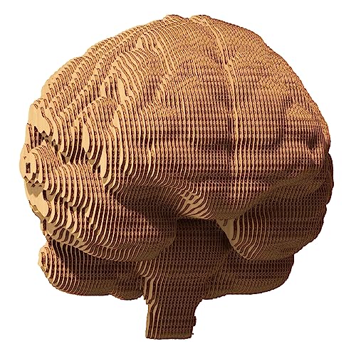 CARTONIC 3D-Puzzle Gehirn - Hergestellt aus recyceltem Karton - Spaßige und fesselnde Aktivität für alle Altersgruppen CARTONIC 3D-Puzzle Gehirn - Hergestellt aus recyceltem Karton - Spaßige und fesselnde Aktivität für alle Altersgruppen von Cartonic