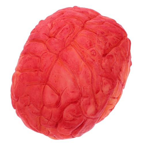 Dunkelrote gruselige gefälschte Gehirnorgan-Requisite, realistisches menschliches Gehirnmodell für Halloween-Spukhaus-Dekorationen und Cosplay Dunkelrote gruselige gefälschte Gehirnorgan-Requisite, realistisches menschliches Gehirnmodell für Halloween-Spukhaus-Dekorationen und Cosplay von CasaNexa