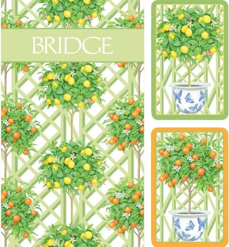 Caspari Bridge Geschenkset, Citrus Topiaries (GS146) von Caspari