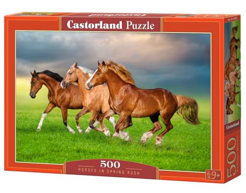 CASTORLAND 500 Teile Puzzles, Pferde im Frühling Eile, Tierpuzzles, Kraft und Schönheit in Bewegung, Erwachsenen-Puzzle, B-54084 CASTORLAND 500 Teile Puzzles, Pferde im Frühling Eile, Tierpuzzles, Kraft und Schönheit in Bewegung, Erwachsenen-Puzzle, B-54084 von Castorland