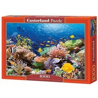 Castorland 1000 Piece Jigsaw Puzzle, Coral Reef Fishes, Sealife, Ocean, Adult Puzzle, Castorland C-101511-2 Castorland 1000 Piece Jigsaw Puzzle, Coral Reef Fishes, Sealife, Ocean, Adult Puzzle, Castorland C-101511-2 von Castorland
