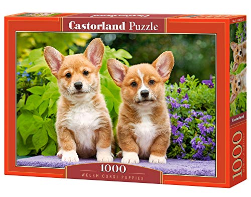 Castorland 104659 Welsh Corgi Welpen, 1000 Stück Puzzle von Castorland