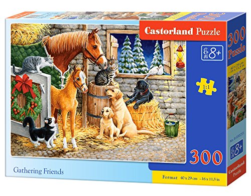 Castorland B-030255 Gathering Friends Puzzle, 300 Teile, bunt von Castorland