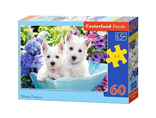 Castorland B-066100 Westie Puppies, 60 Teile Puzzle, bunt von Castorland