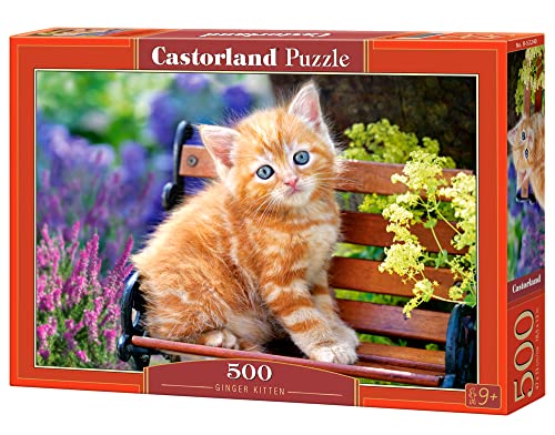 Castorland B-52240-2 - Ginger Kitten, Puzzle 500 Teile von Castorland