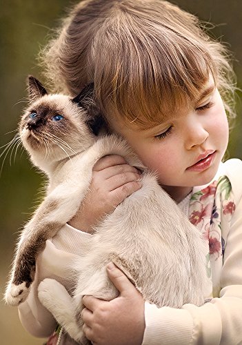 Castorland B-52943 Pure Love, 500 Teile Puzzle, bunt Castorland B-52943 Pure Love, 500 Teile Puzzle, bunt von Castorland