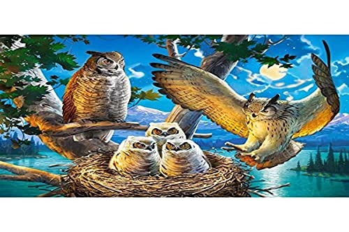 Castorland B-53322 B-53322-Owl Family Puzzle 500 Teile, Bunt, 35 x 25 x 5 cm von Castorland