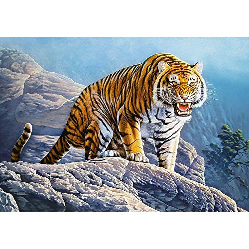 Castorland B-53346 Puzzel, 35 x 25 x 5 cm von Castorland