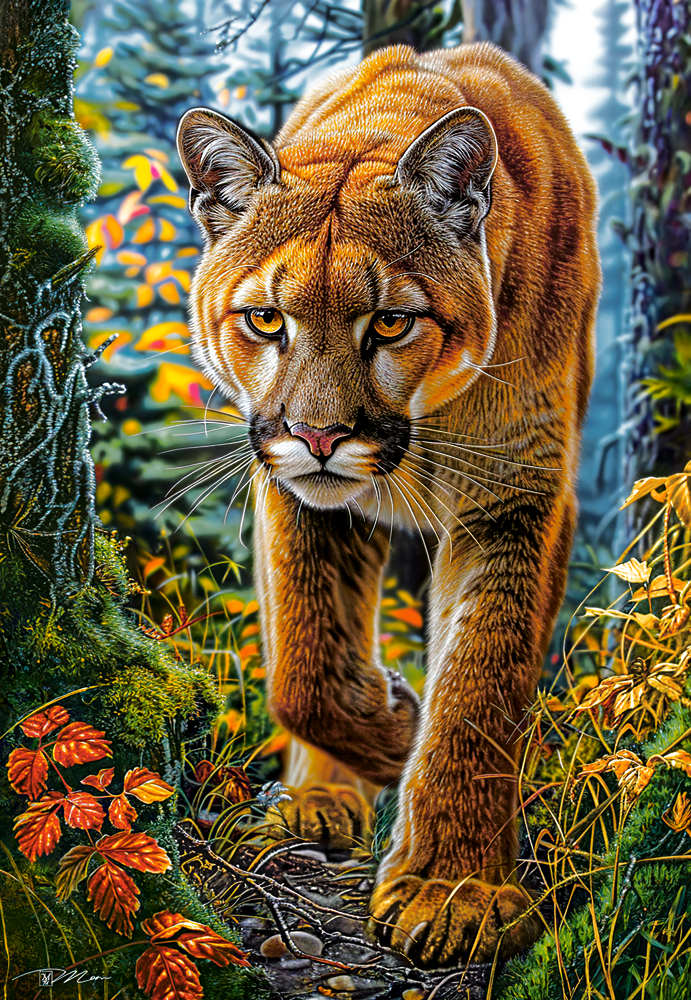 Castorland Berglöwe im Wald 1500 Teile Puzzle Castorland-152261 von Castorland