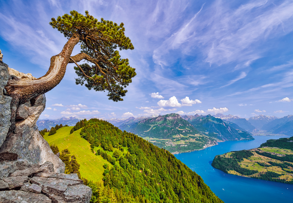 Castorland Blick auf den Urnersee, Schweiz 1000 Teile Puzzle Castorland-105311 Castorland Blick auf den Urnersee, Schweiz 1000 Teile Puzzle Castorland-105311 von Castorland
