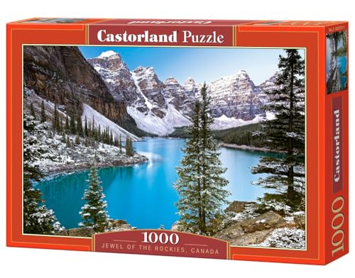 Castorland C-102372-2 Puzzle, bunt, Mittel, 1000 von Castorland