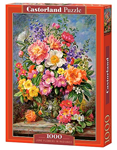 Castorland C-103904-2 June Flowers in Radiance, 1000 Tei Puzzle, bunt von Castorland