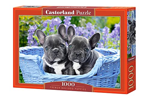 Castorland C-104246-2 French Bulldog Puppies, 1000 Teile Puzzle, Bunt Castorland C-104246-2 French Bulldog Puppies, 1000 Teile Puzzle, Bunt von Castorland