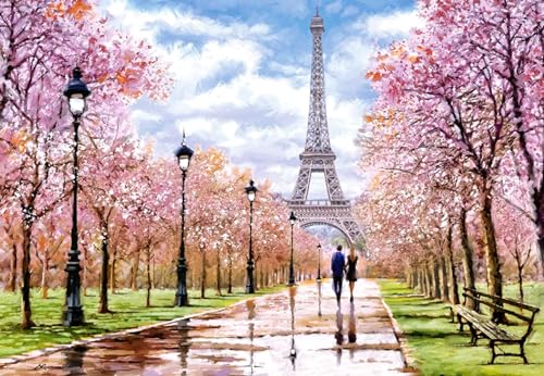 Castorland C-104369-2 Romantic Walk in Paris 1000 Teile Puzzle, Bunt von Castorland